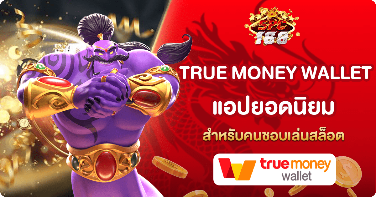TRUE MONEY WALLET