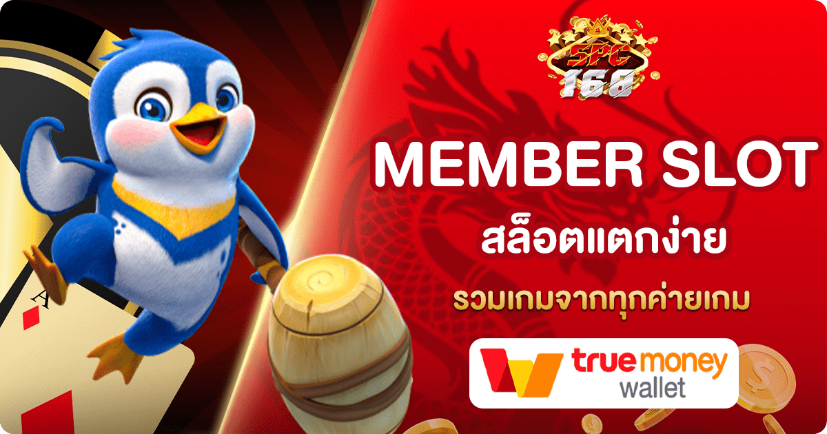 MEMBER SLOT